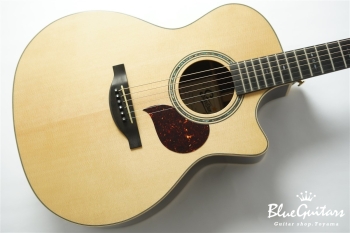 F130-GA Sitka Spruce / Indian Rosewood