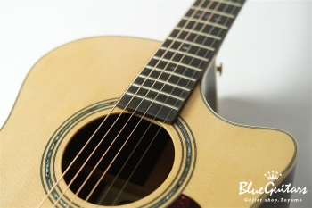 F130-GA Sitka Spruce / Indian Rosewood