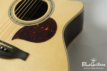 F130-GA Sitka Spruce / Indian Rosewood