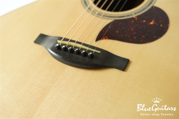 F130-GA Sitka Spruce / Indian Rosewood