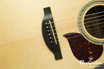 F130-GA Sitka Spruce / Indian Rosewood