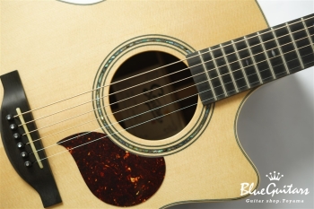 F130-GA Sitka Spruce / Indian Rosewood