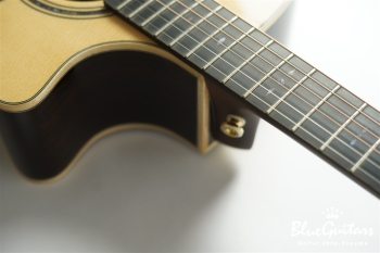 F130-GA Sitka Spruce / Indian Rosewood