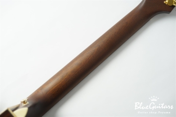 F130-GA Sitka Spruce / Indian Rosewood