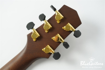 F130-GA Sitka Spruce / Indian Rosewood