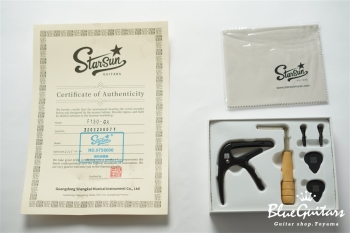 F130-GA Sitka Spruce / Indian Rosewood