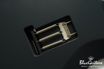 S-622CS Alder/Rosewood - Gray Black