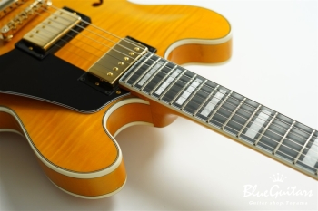 EXRUBATO-CTM-JT - ANA