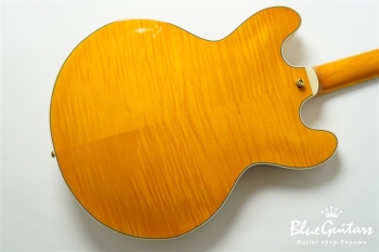 EXRUBATO-CTM-JT - ANA