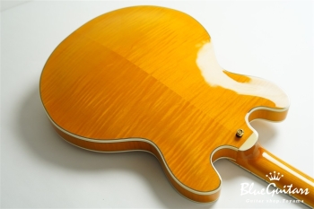 EXRUBATO-CTM-JT - ANA