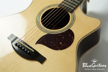 F130-GA Sitka Spruce / Indian Rosewood