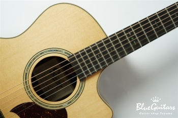 F130-GA Sitka Spruce / Indian Rosewood