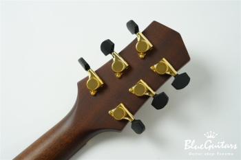 F130-GA Sitka Spruce / Indian Rosewood