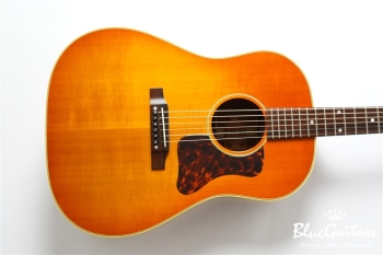 HAC-02 LTD - Honey Burst