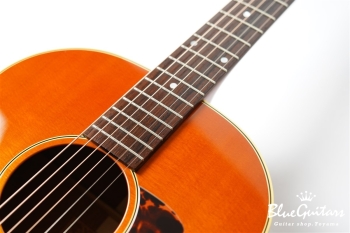 HAC-02 LTD - Honey Burst