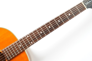 HAC-02 LTD - Honey Burst