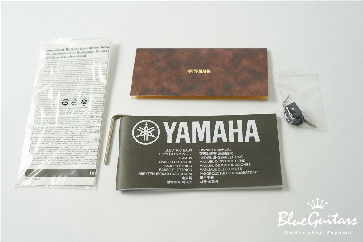 BB2024X - Vintage Sunburst