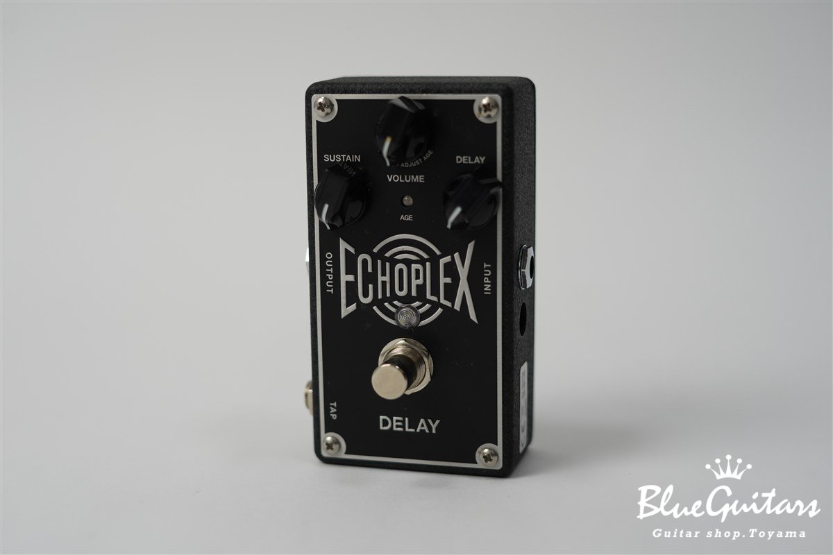 EP103 Echoplex Delay