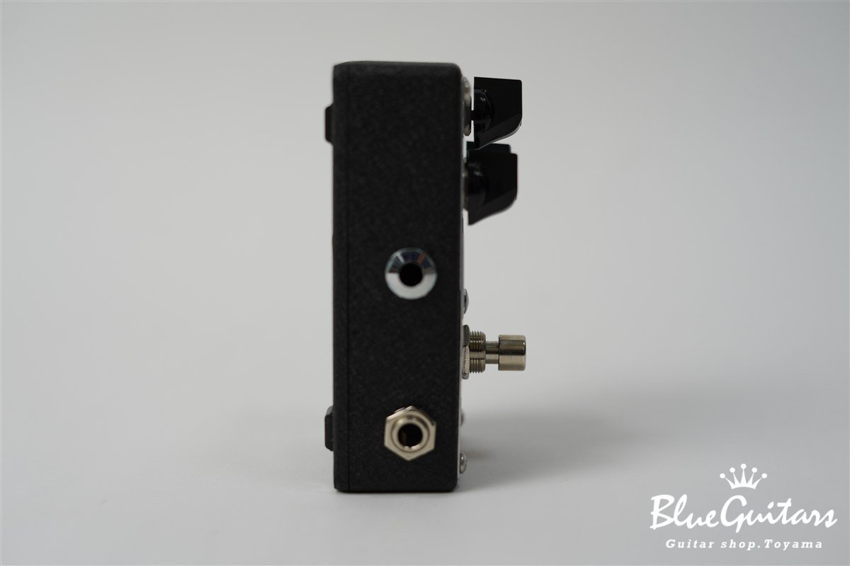 EP103 Echoplex Delay