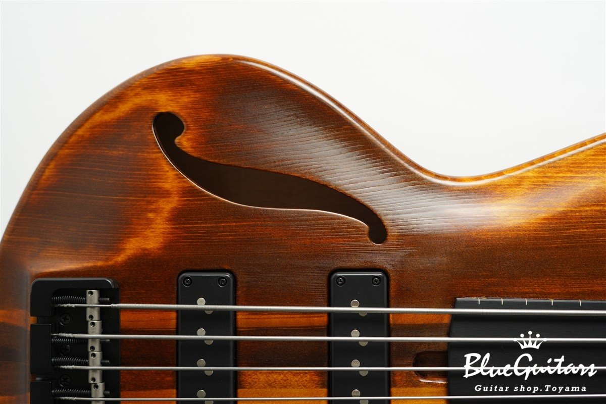 TEMPESTA 5st Fretless - Organic Texture