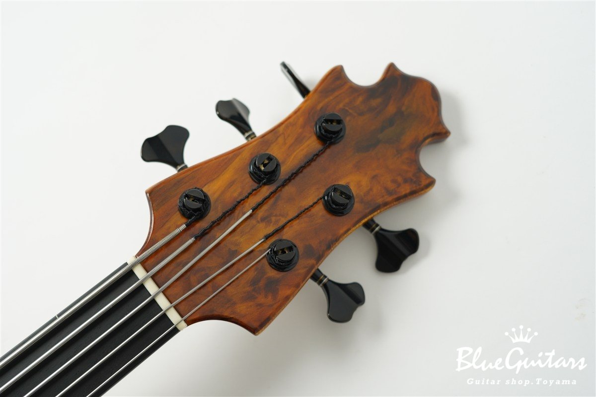 TEMPESTA 5st Fretless - Organic Texture