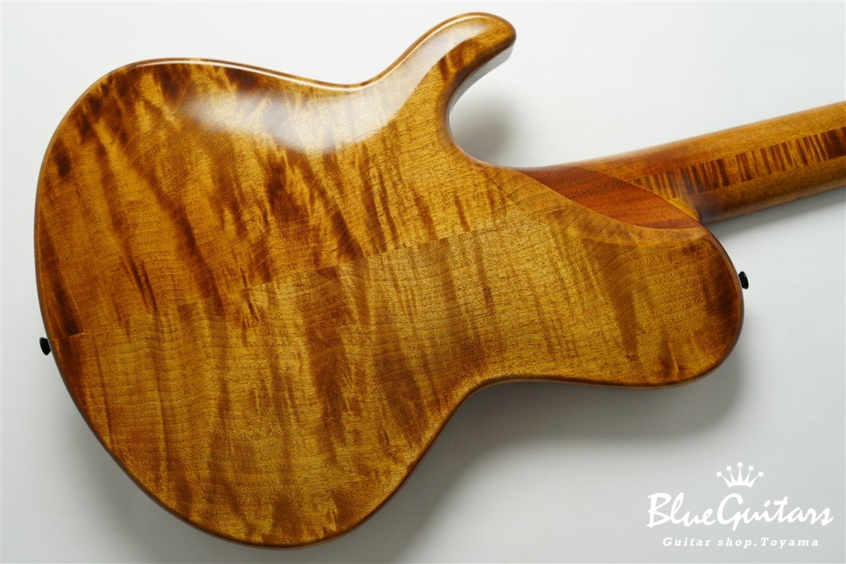 TEMPESTA 5st Fretless - Organic Texture