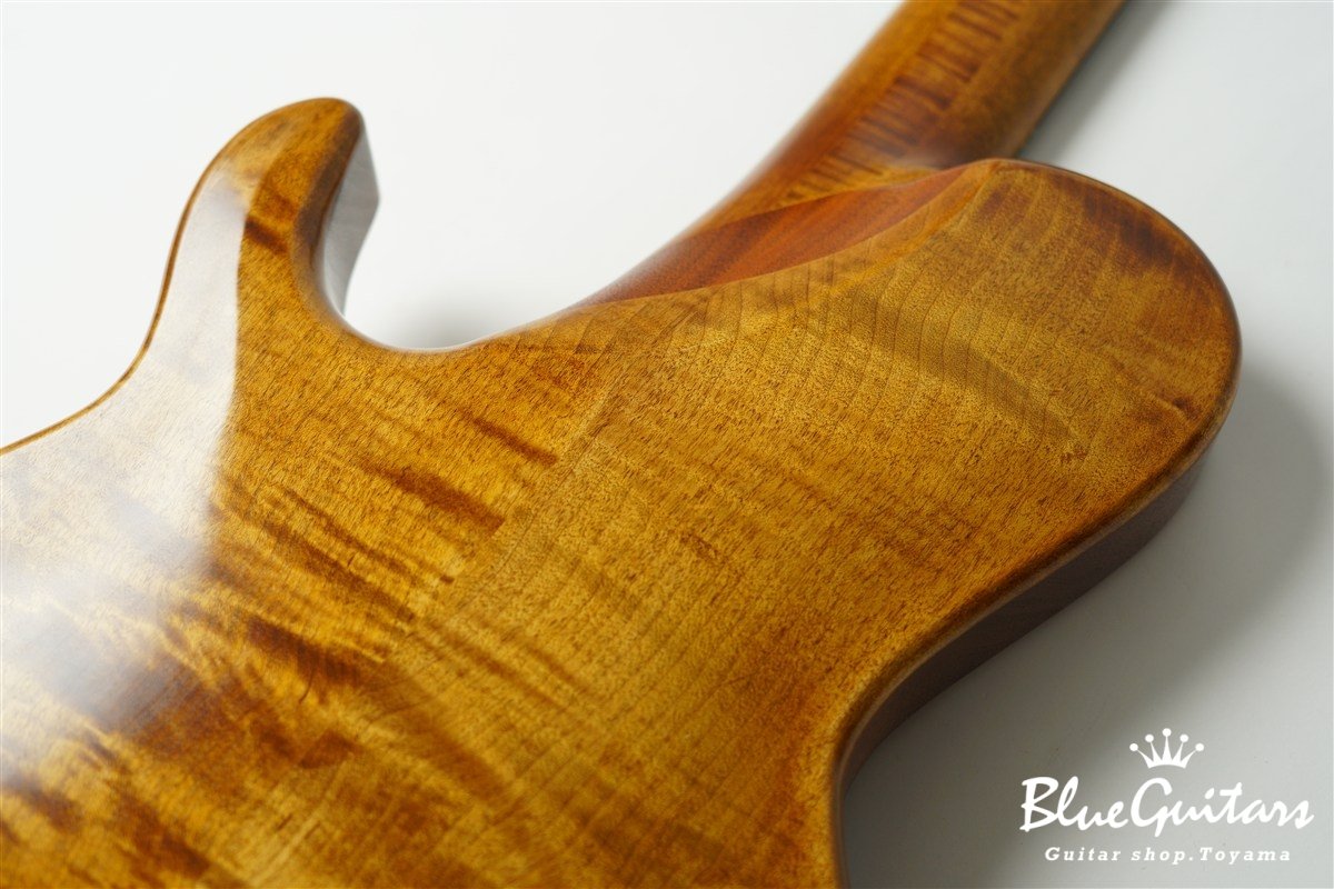 TEMPESTA 5st Fretless - Organic Texture