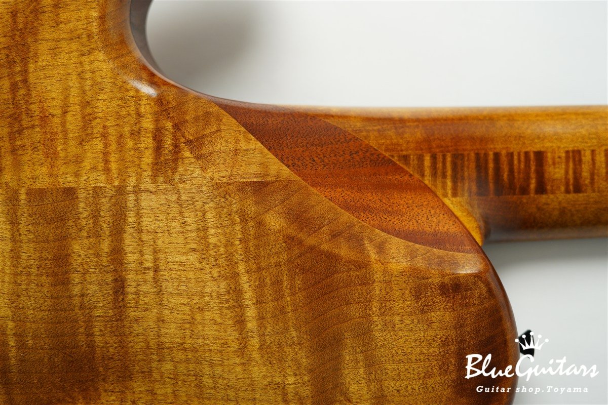 TEMPESTA 5st Fretless - Organic Texture