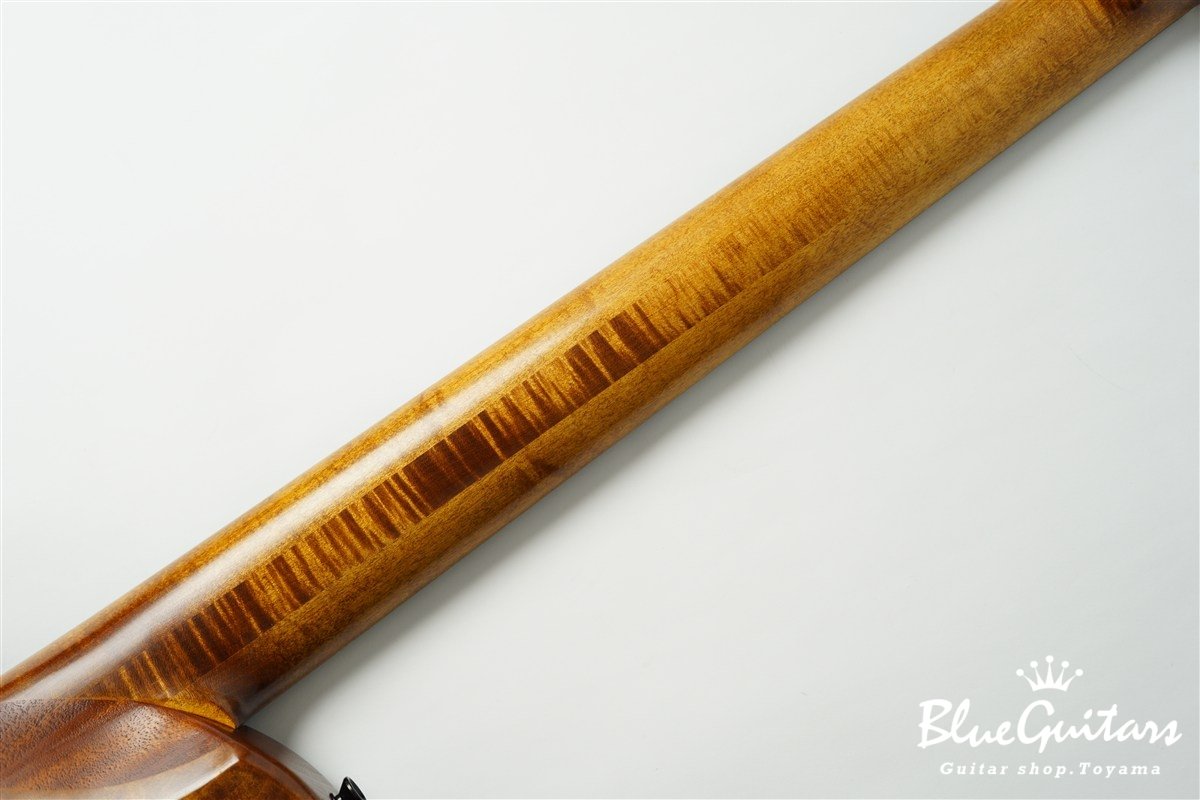 TEMPESTA 5st Fretless - Organic Texture