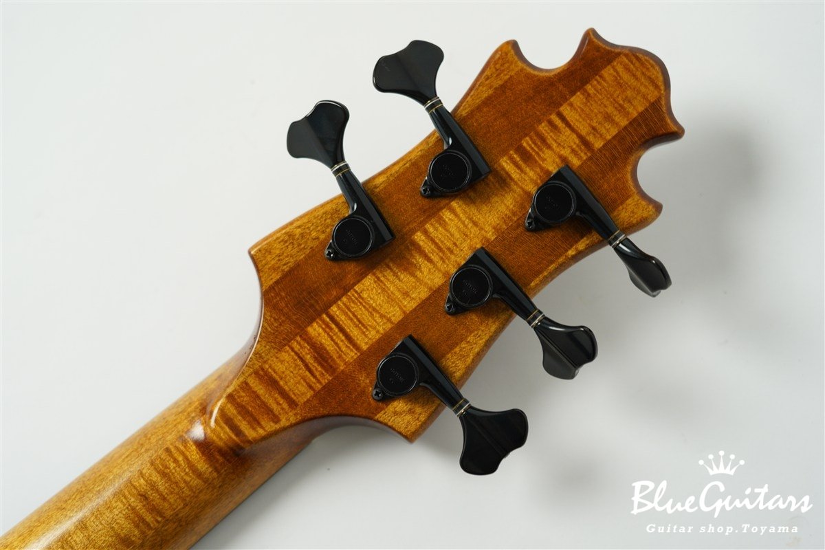 TEMPESTA 5st Fretless - Organic Texture