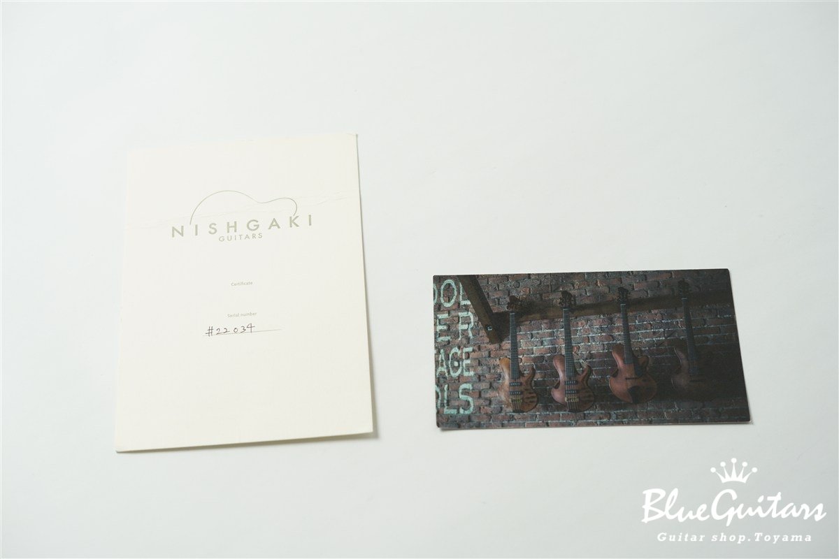 TEMPESTA 5st Fretless - Organic Texture