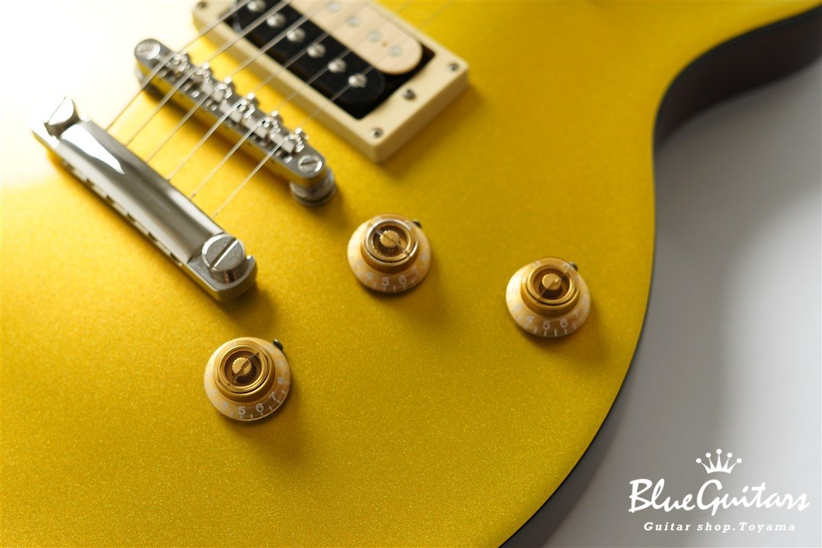 Tak Matsumoto DC Standard - Gold Top