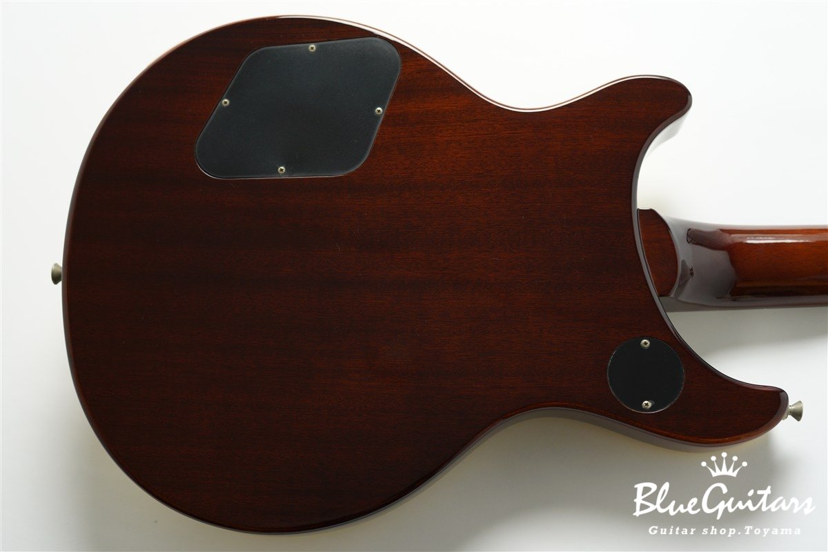 Tak Matsumoto DC Standard - Gold Top