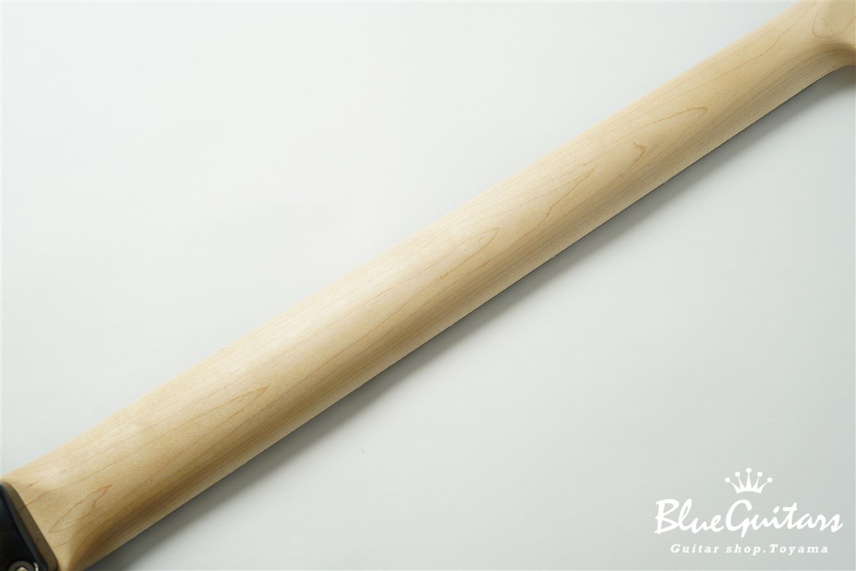 XJ-1T 5st Black Paisley Burst Medium Aged / Alder / R #3447