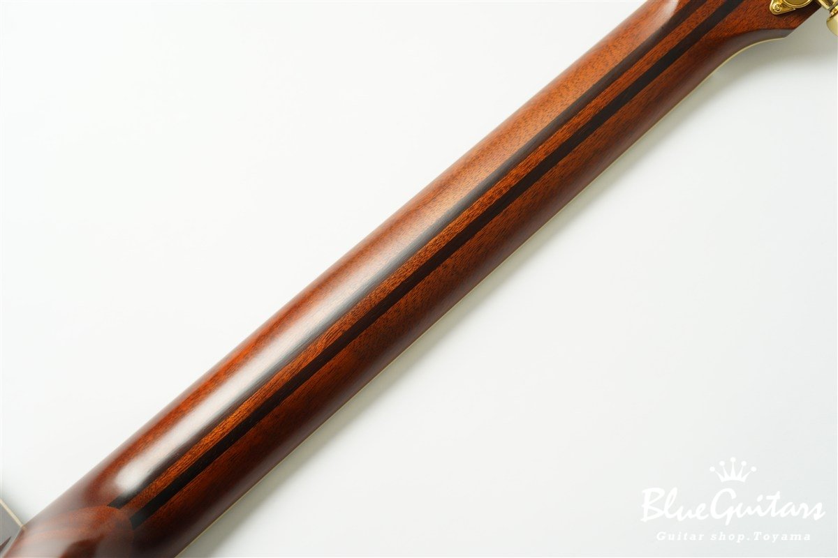 LS-TA - Brown Sunburst