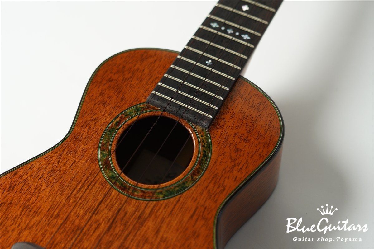 「照り葉」Teriha Concert - Honduras Mahogany