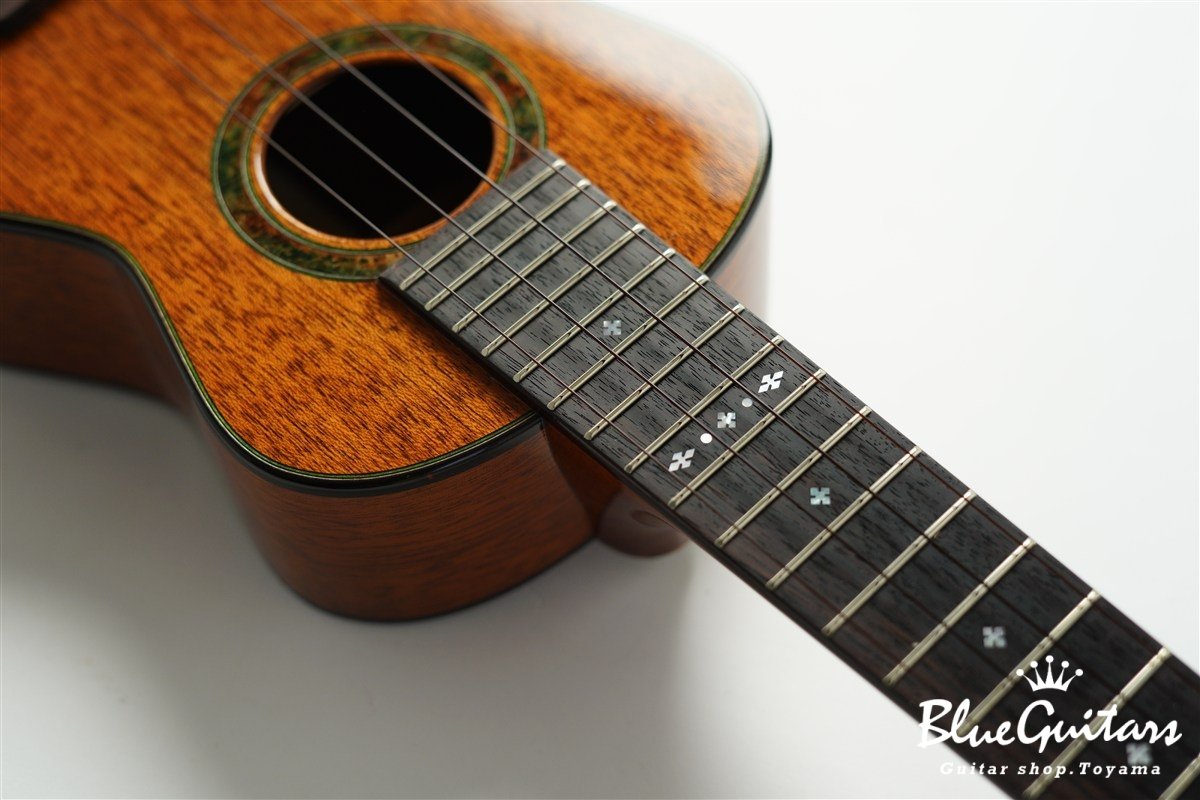 「照り葉」Teriha Concert - Honduras Mahogany