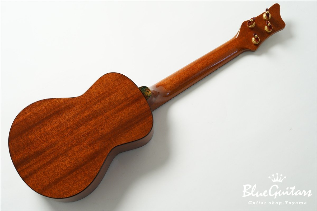 「照り葉」Teriha Concert - Honduras Mahogany