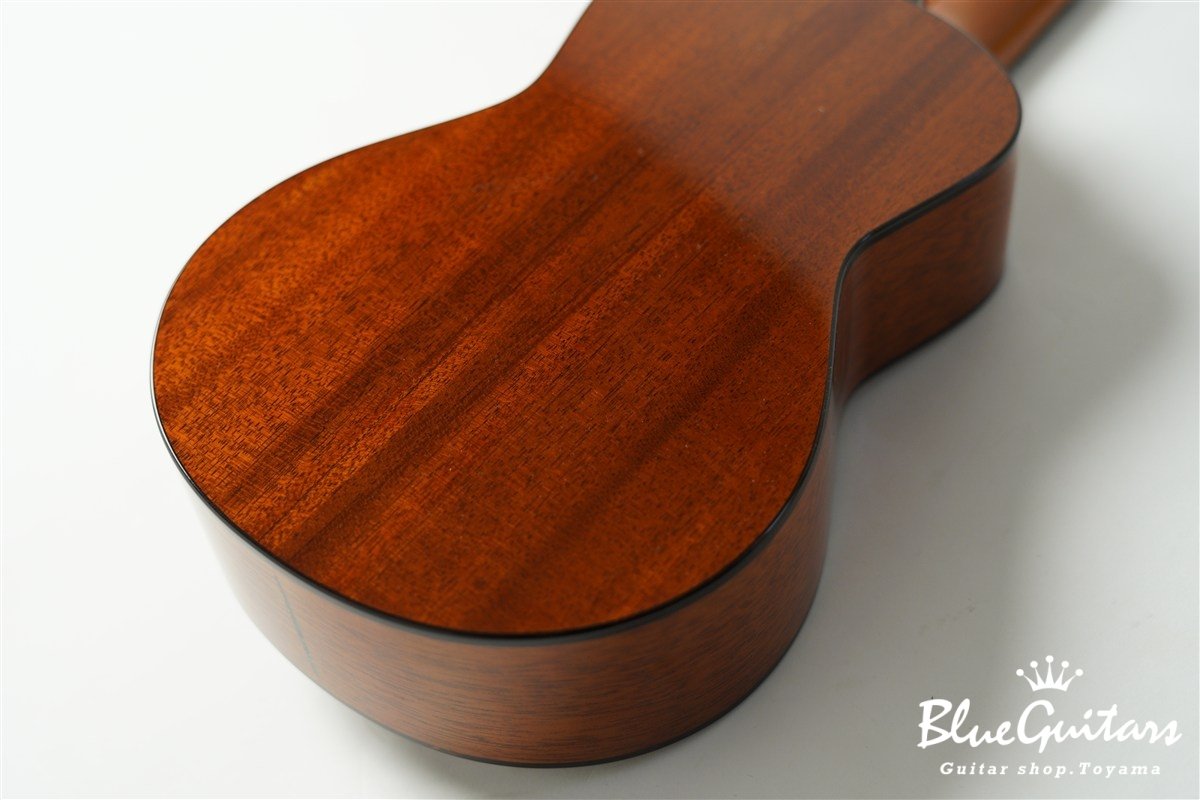 「照り葉」Teriha Concert - Honduras Mahogany