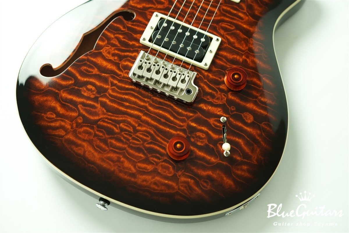 SE Custom 22 Semi-Hollow Quilt Maple Top - Black Gold Sunburst