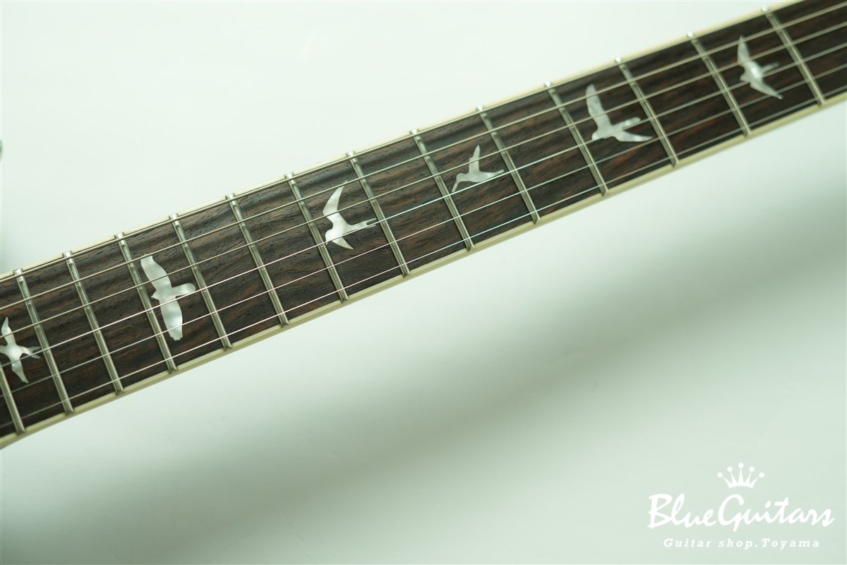 SE Custom 22 Semi-Hollow Quilt Maple Top - Black Gold Sunburst