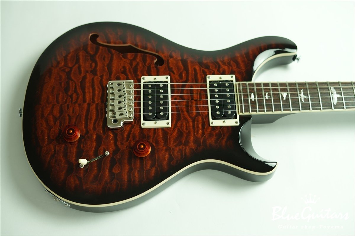 SE Custom 22 Semi-Hollow Quilt Maple Top - Black Gold Sunburst
