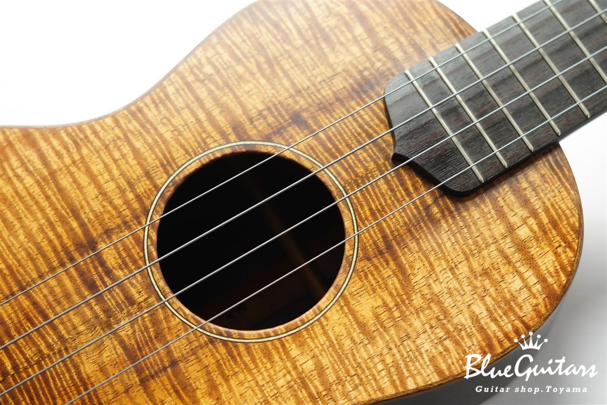 ukulele tenor 14f std. w Curly Hawaiian Koa Top / Ebony SIDE & BACK