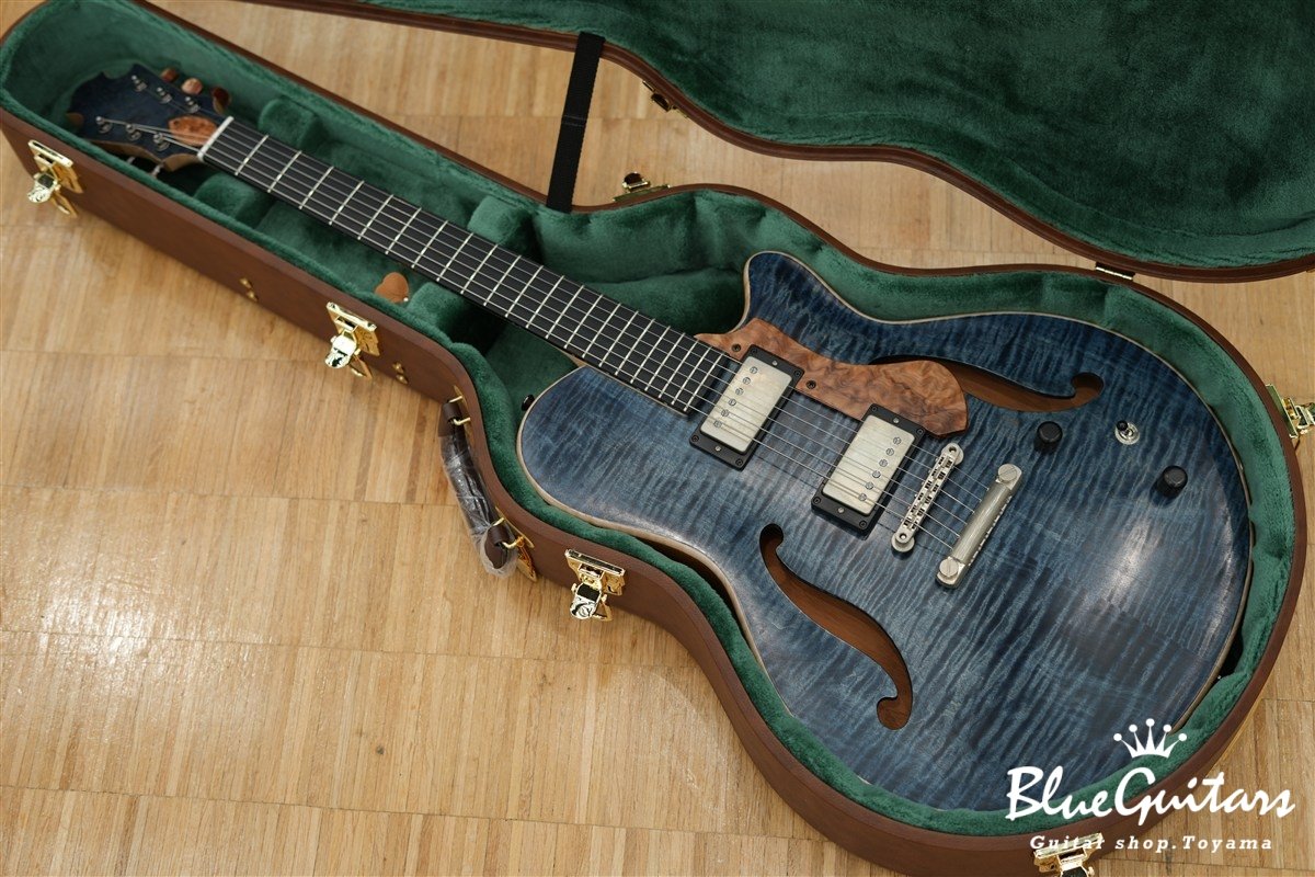 Arcus Forma - Semi Hollow