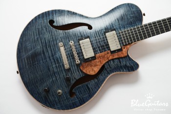 Arcus Forma - Semi Hollow