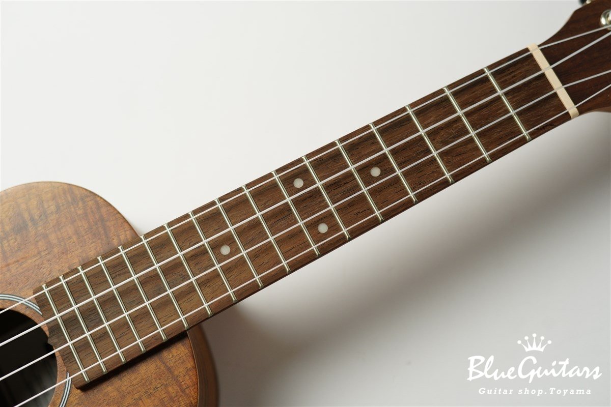 KOA-SOP