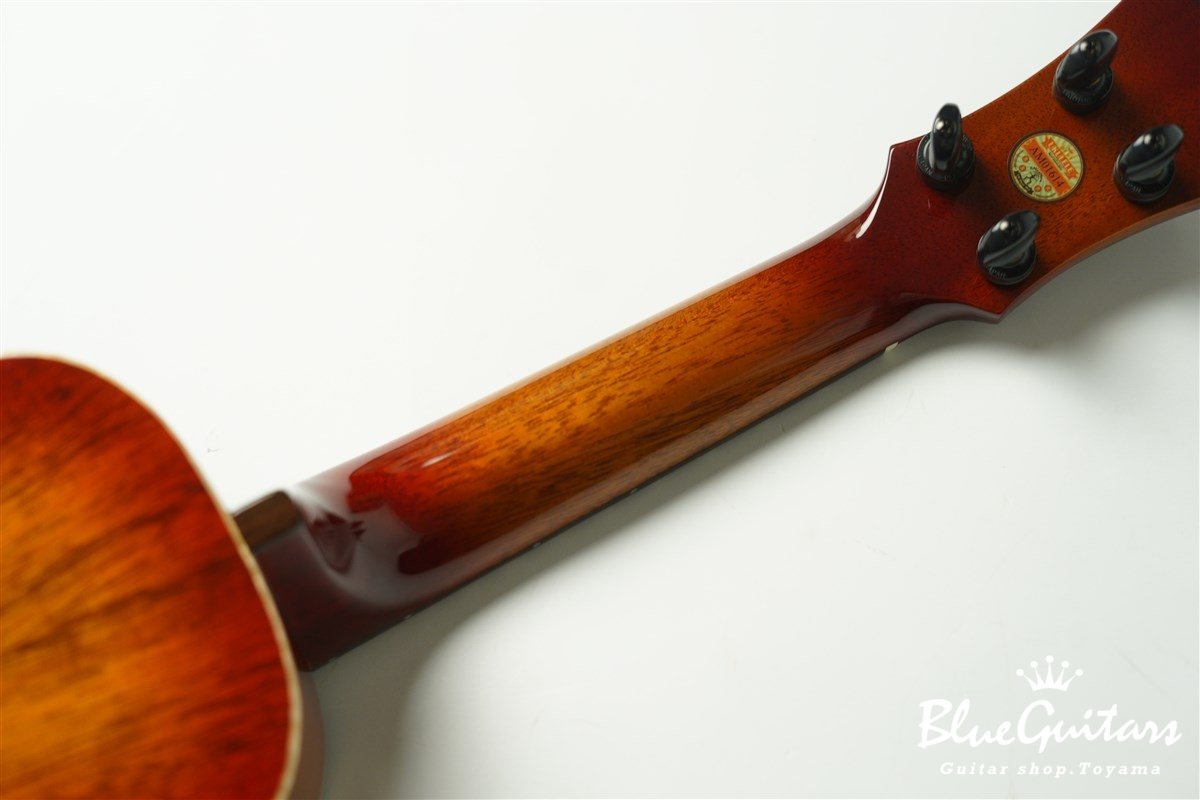 RS1K - Cherry Burst