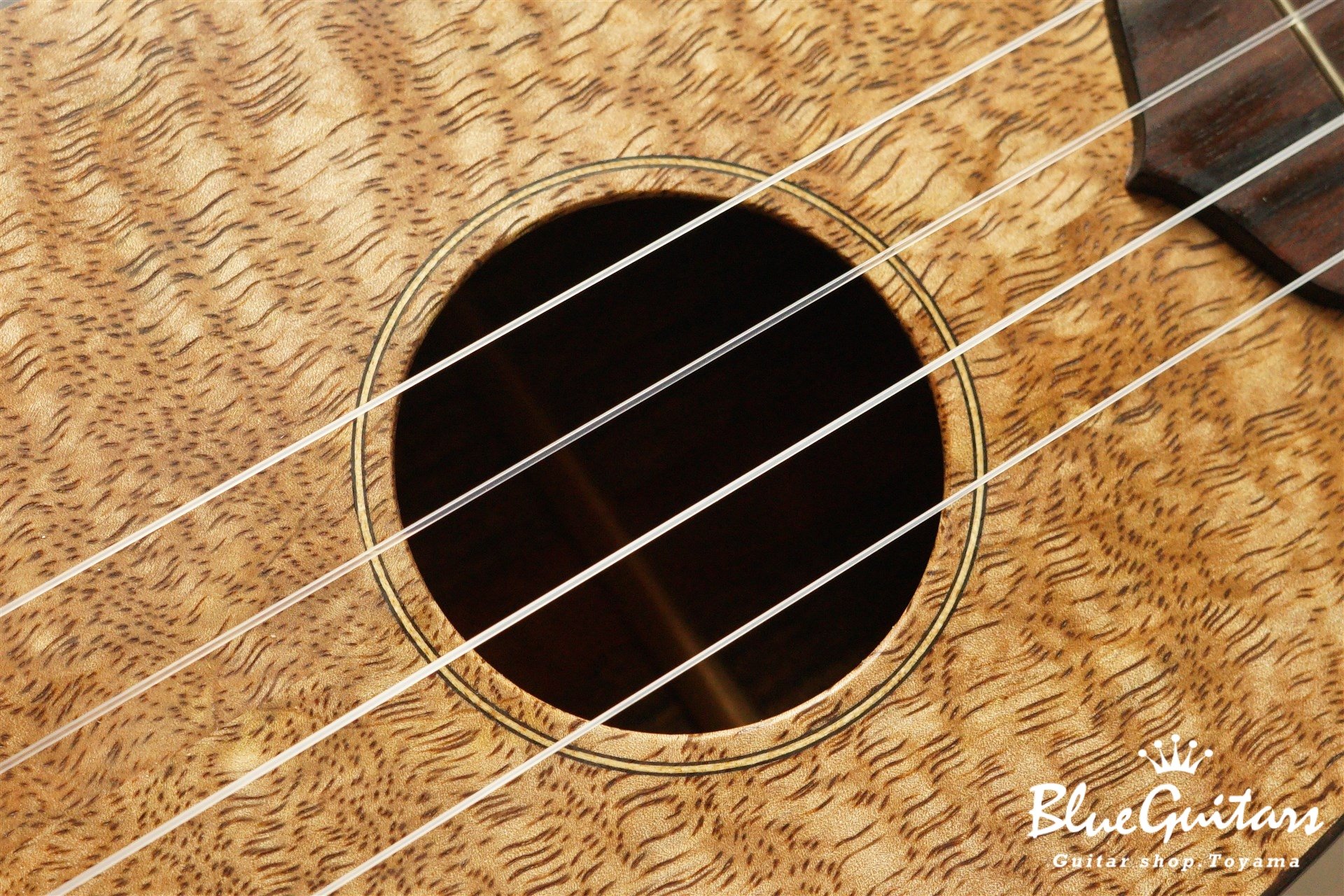 ukulele concert 14f pineapple - Hawaiian Mango TOP / Ovangkol SIDE&BACK