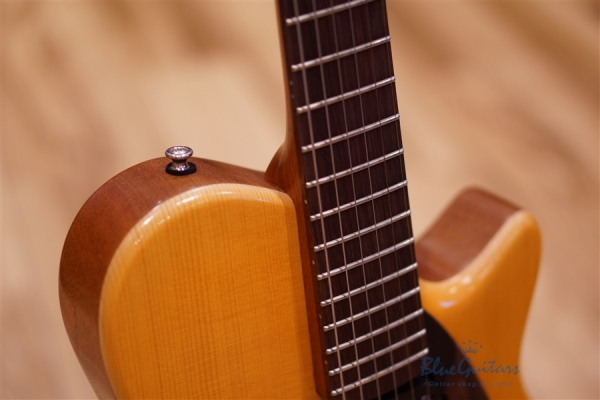 Arcus Semi-hollow Jazz - Amber