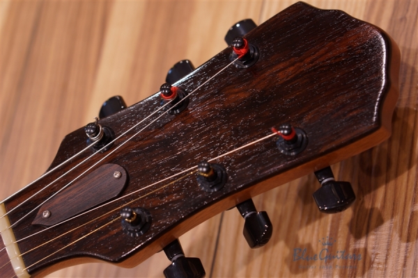 Arcus Semi-hollow Jazz - Amber